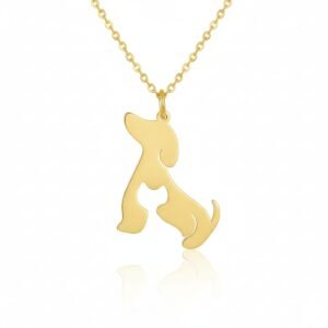 Collar perro y gato juntos