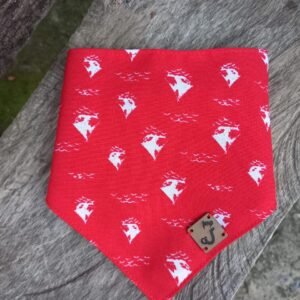 Pañoleta gato rojo con barcos